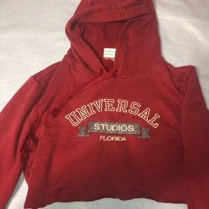 Cropped Universal Studios Hoodie